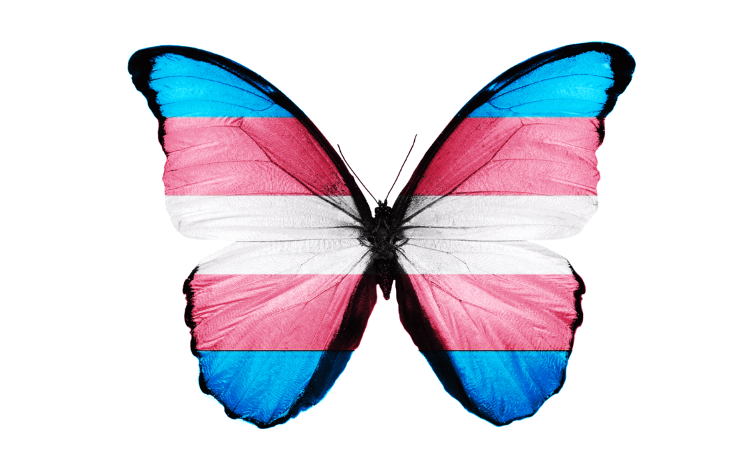 Transgender Awareness Week: Trans History and Normalizing Care for All